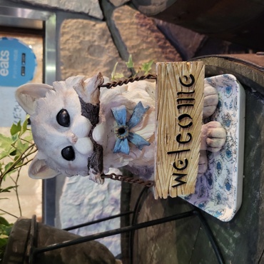 blog
