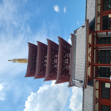 blog